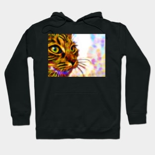 Cat Face Close Up Hoodie